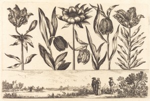 Bloemenprint no.11, 1645